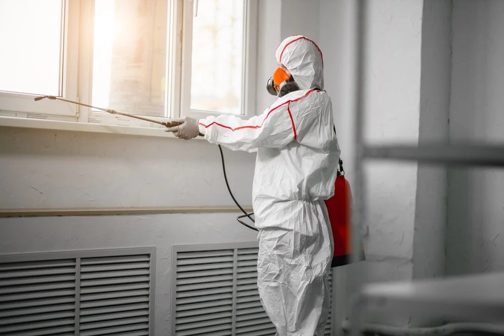 Professional mold remediation services in North Vernon, IN